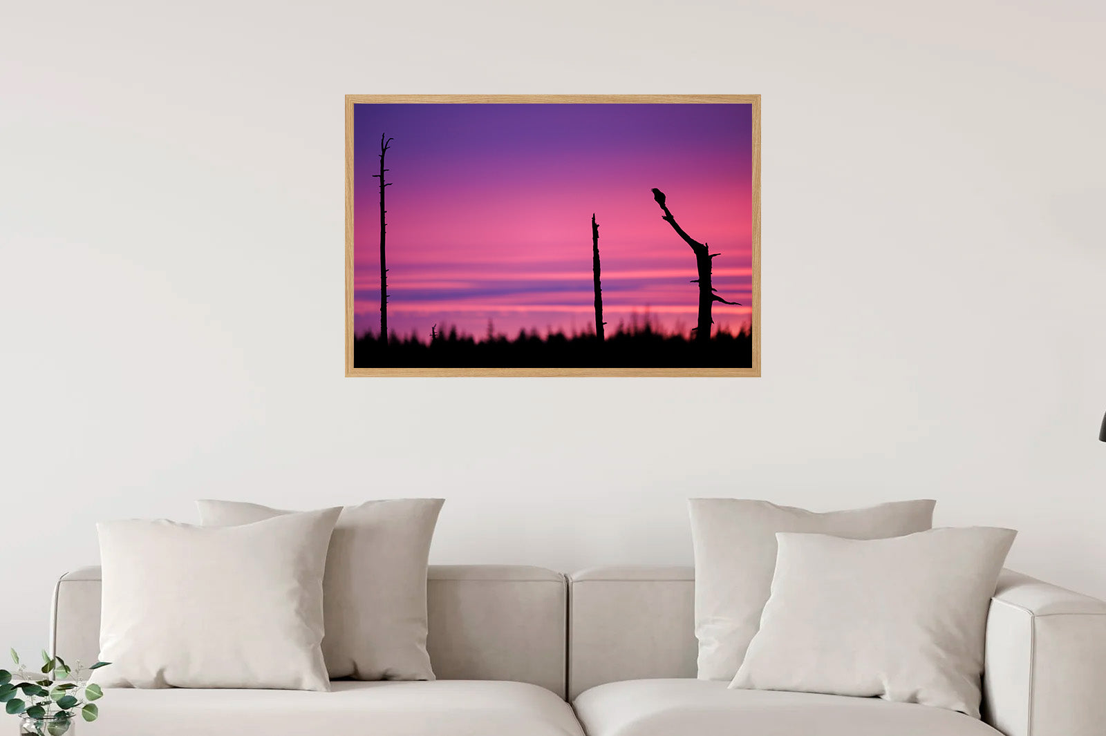 Cuervo al amanecer en la frontera