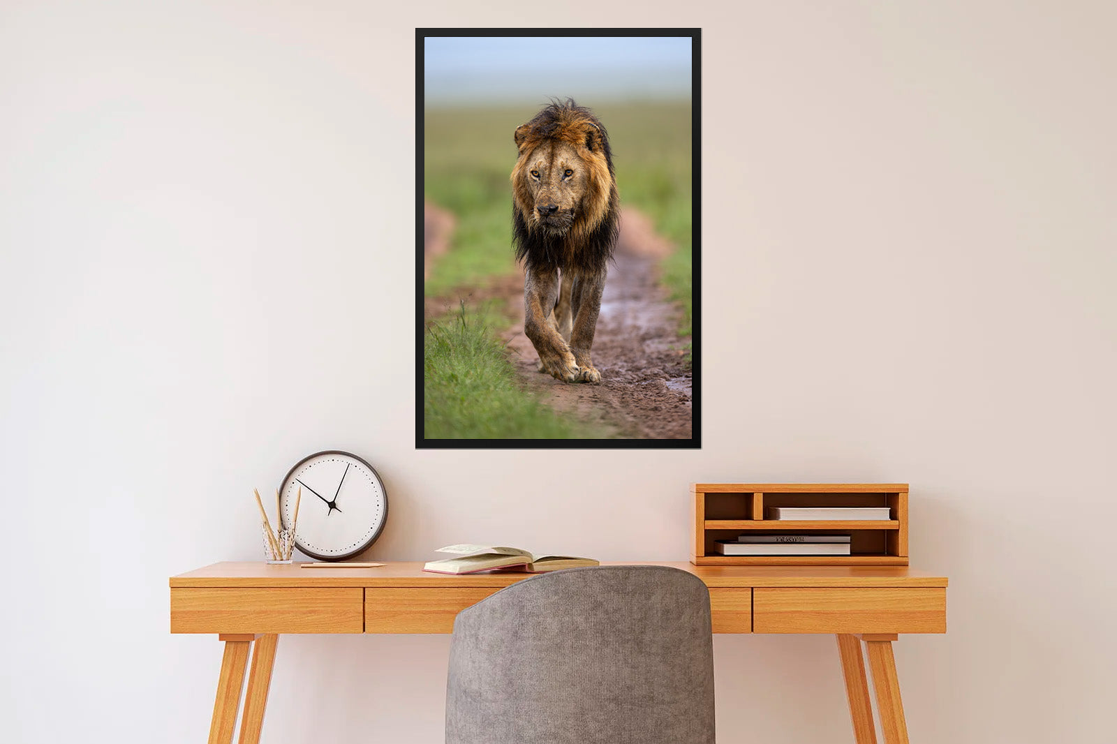 León moviéndose al amanecer