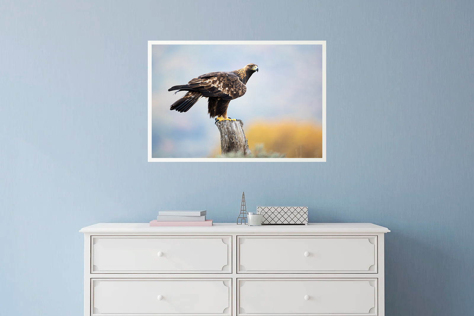 Águila real posada sobre un tronco