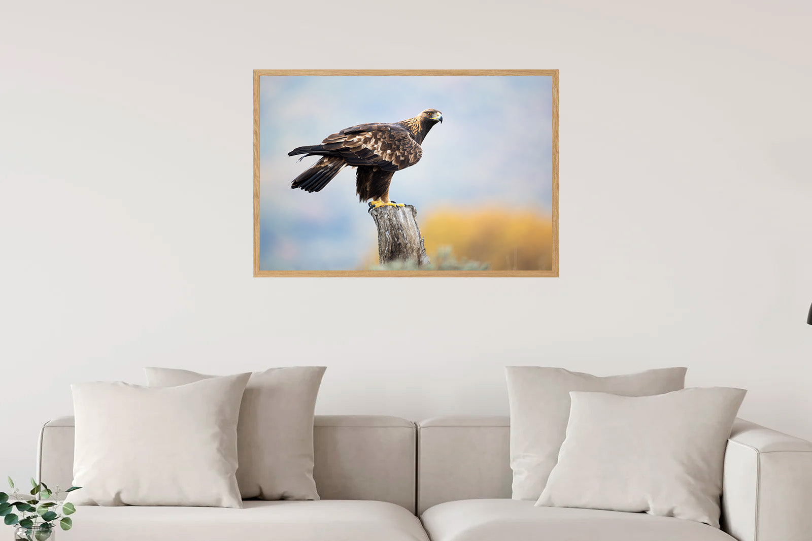 Águila real posada sobre un tronco