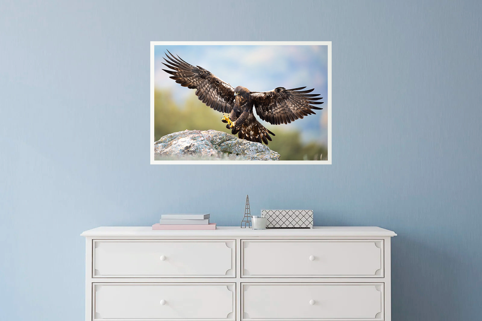 Águila real aterrizando sobre una roca