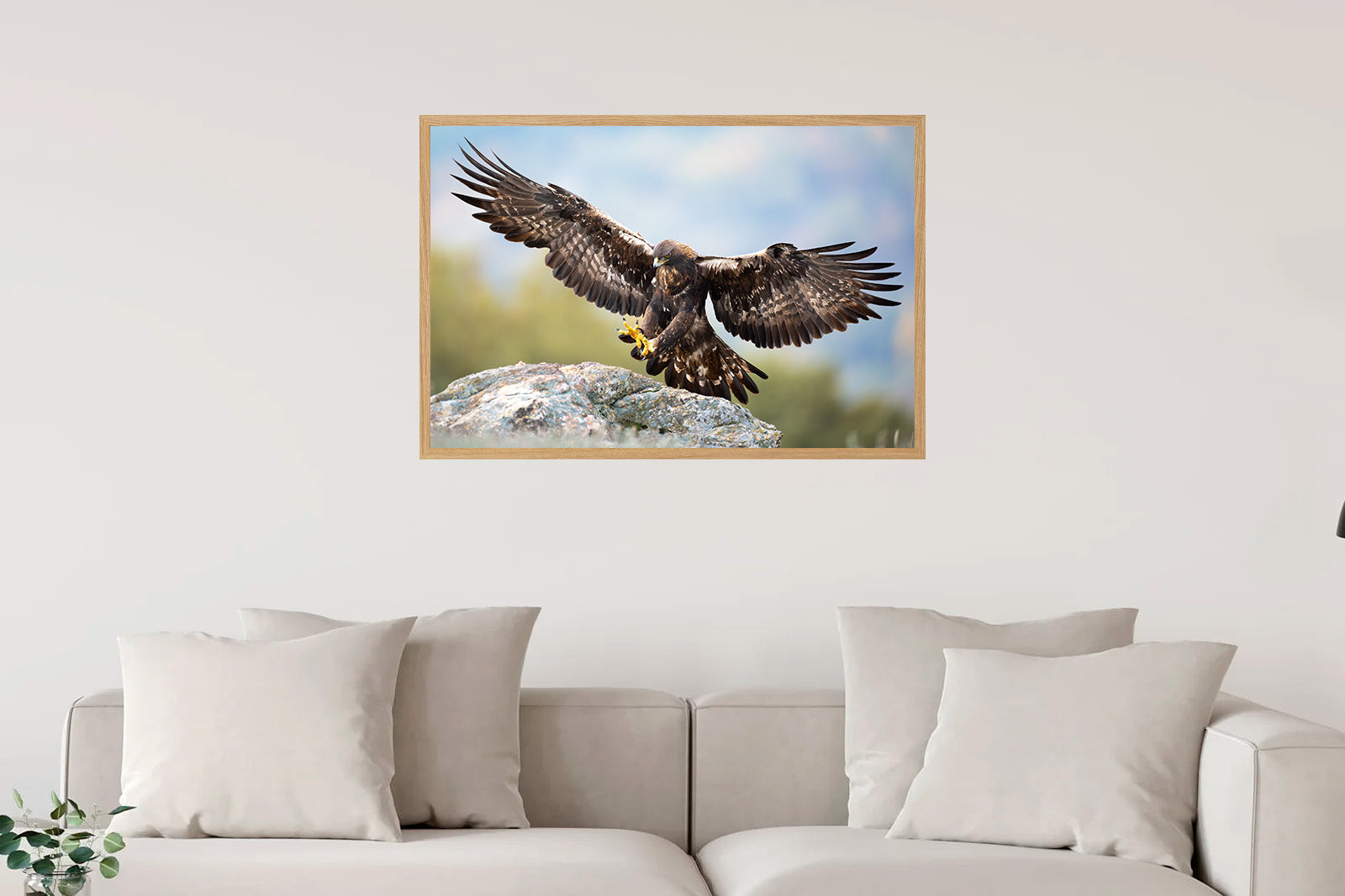 Águila real aterrizando sobre una roca