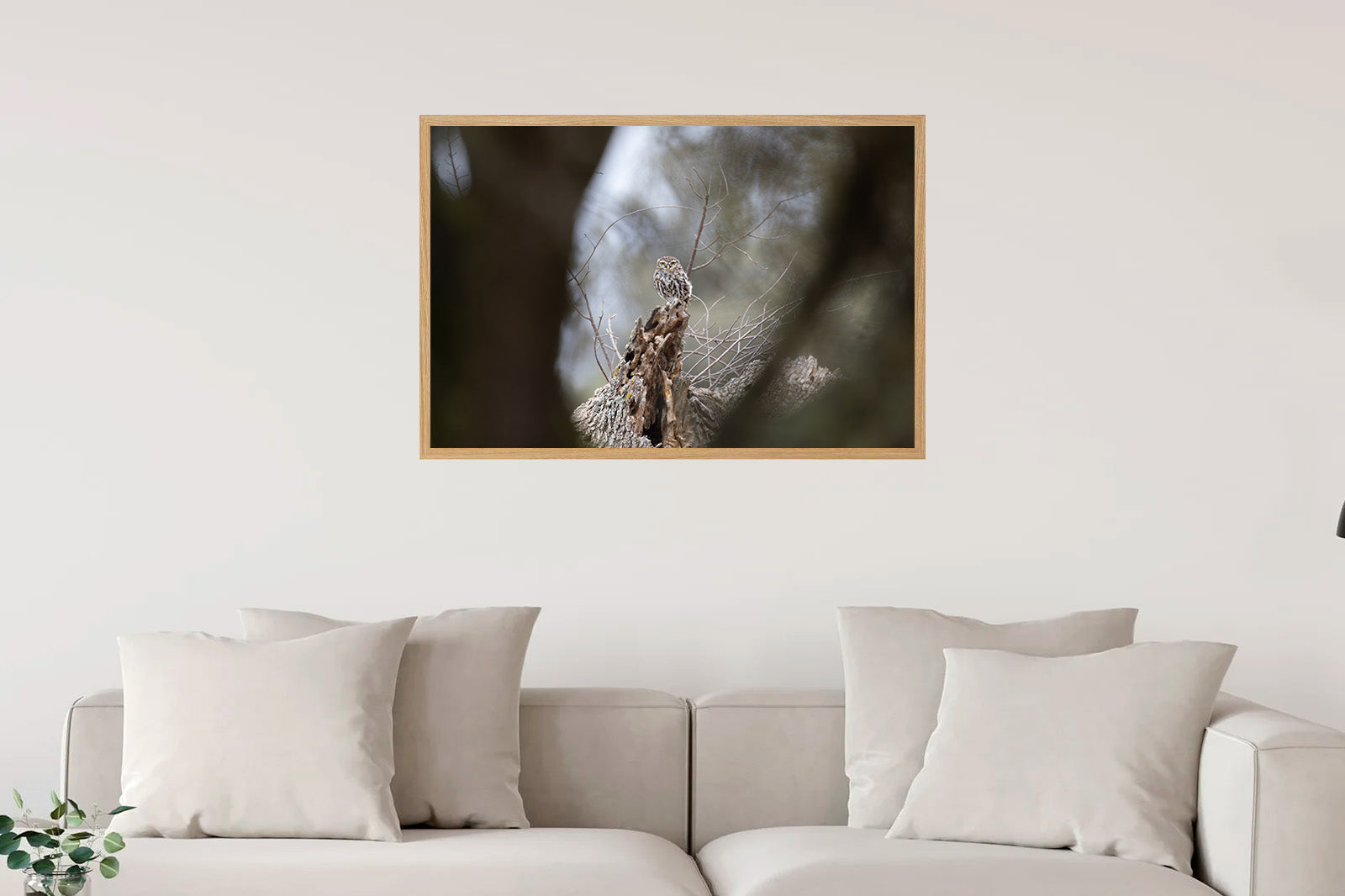 Mochuelo lejano entre ramas