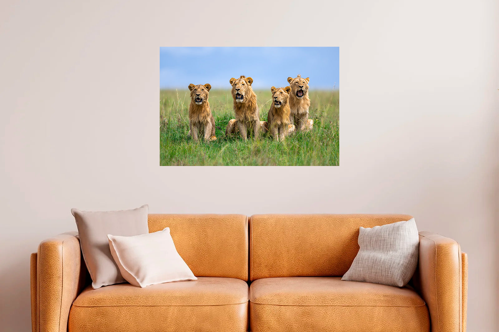 Cuatro leones jóvenes entre la hierba