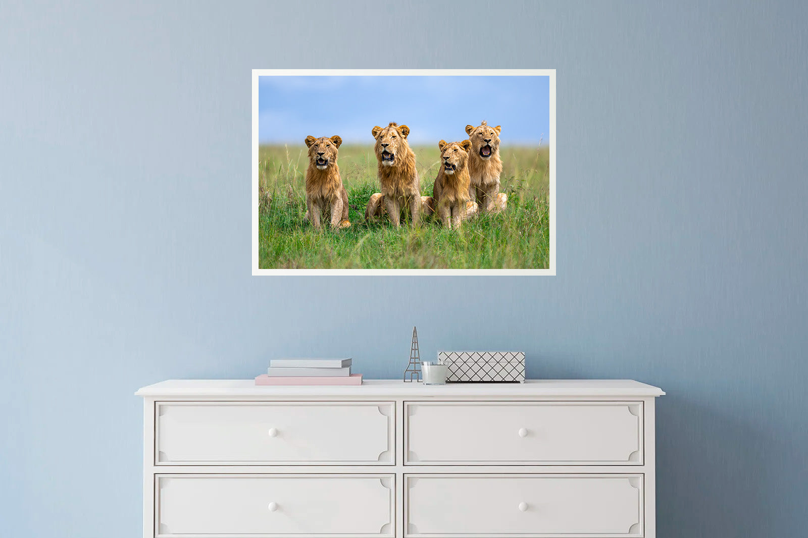 Cuatro leones jóvenes entre la hierba