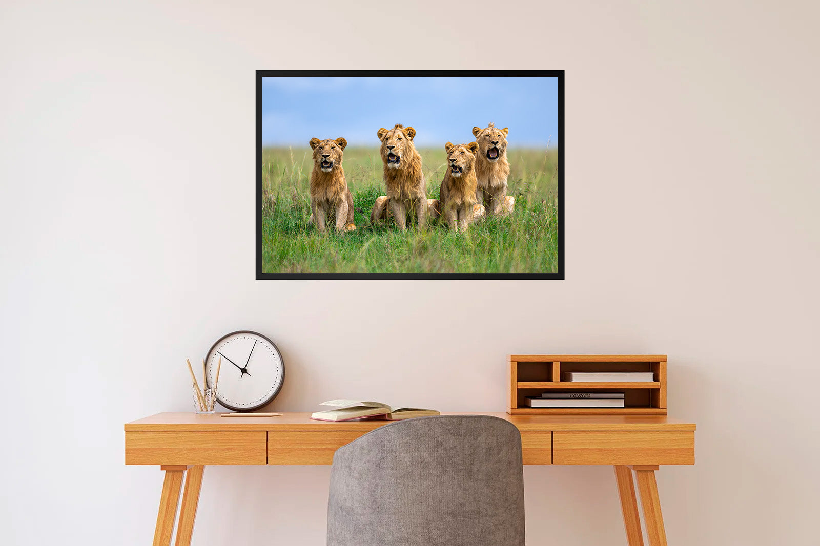 Cuatro leones jóvenes entre la hierba