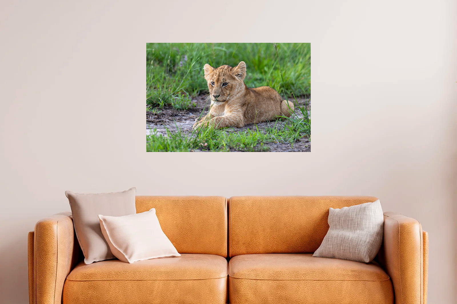 Cachorro de león descansando en la hierba