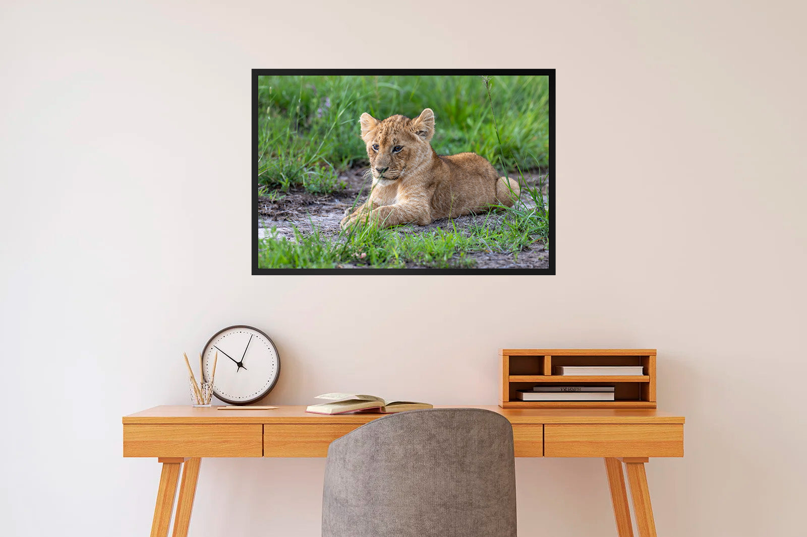 Cachorro de león descansando en la hierba