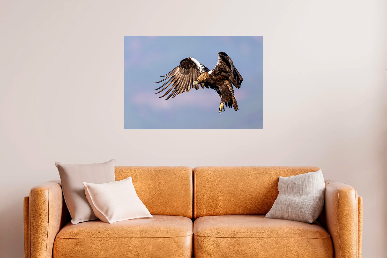 Águila imperial frenando en vuelo