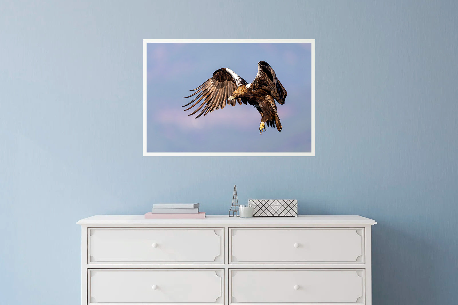 Águila imperial frenando en vuelo