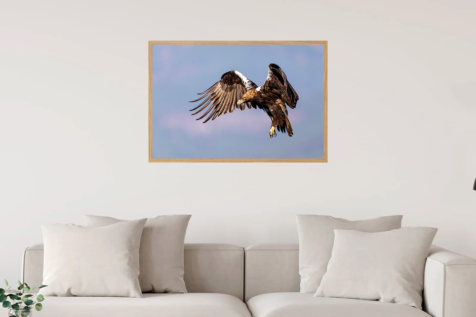 Águila imperial frenando en vuelo