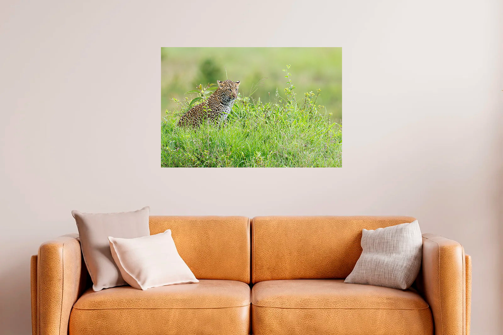 Joven leopardo observando entre la hierba