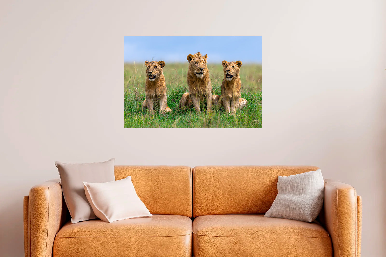 Tres leones jóvenes entre la hierba