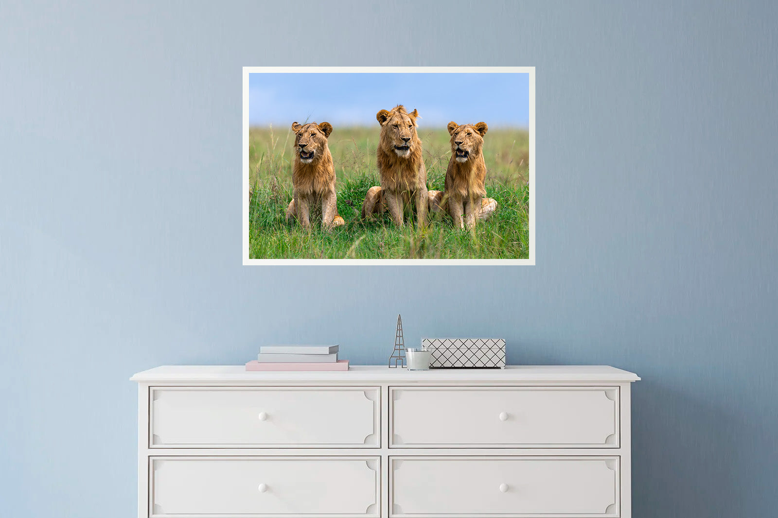 Tres leones jóvenes entre la hierba