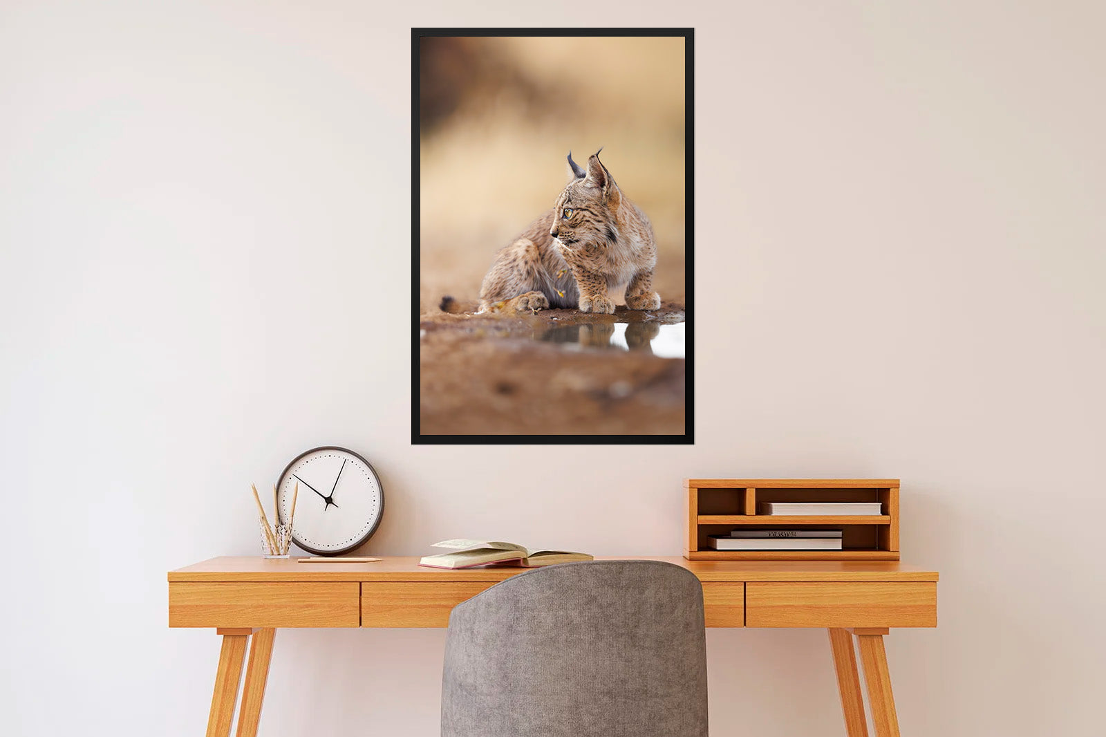 Cachorro de lince mirando a un lado