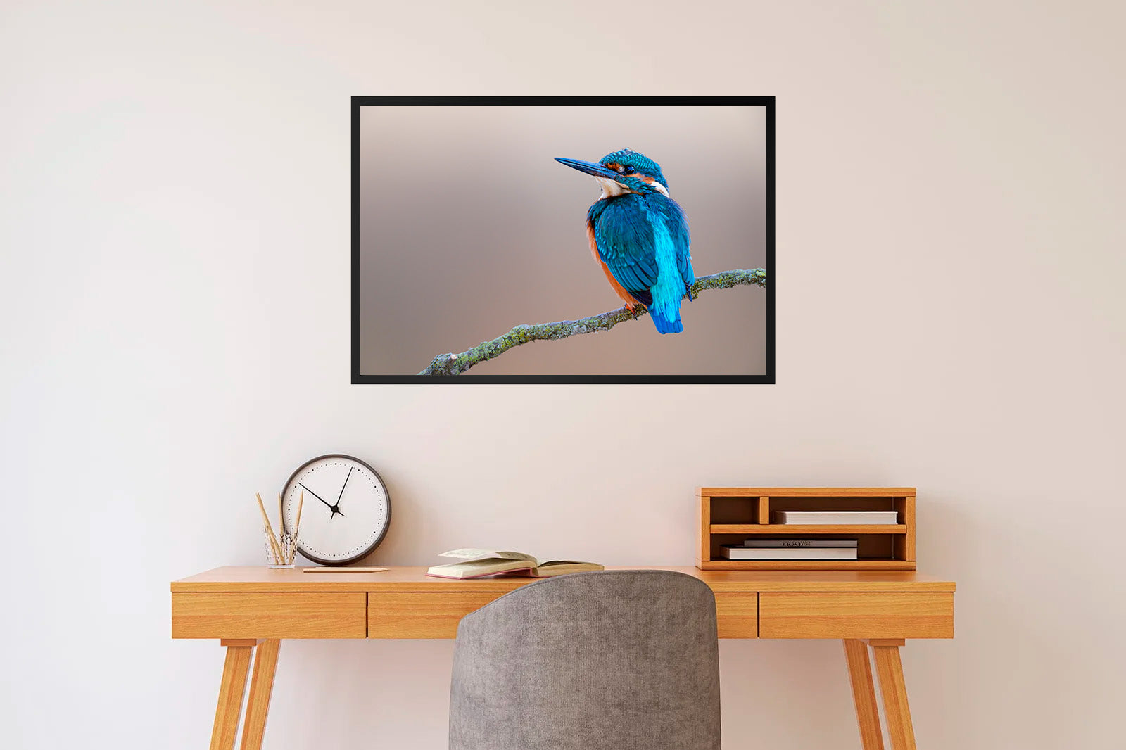 Martín pescador en fondo crema mirando a la izquierda