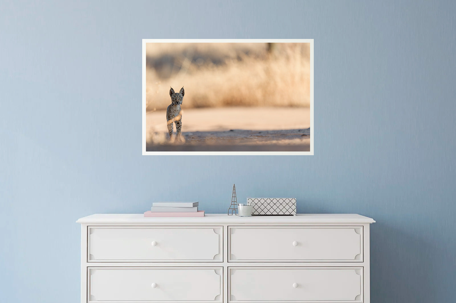 Cachorro en la sombra mirando de frente