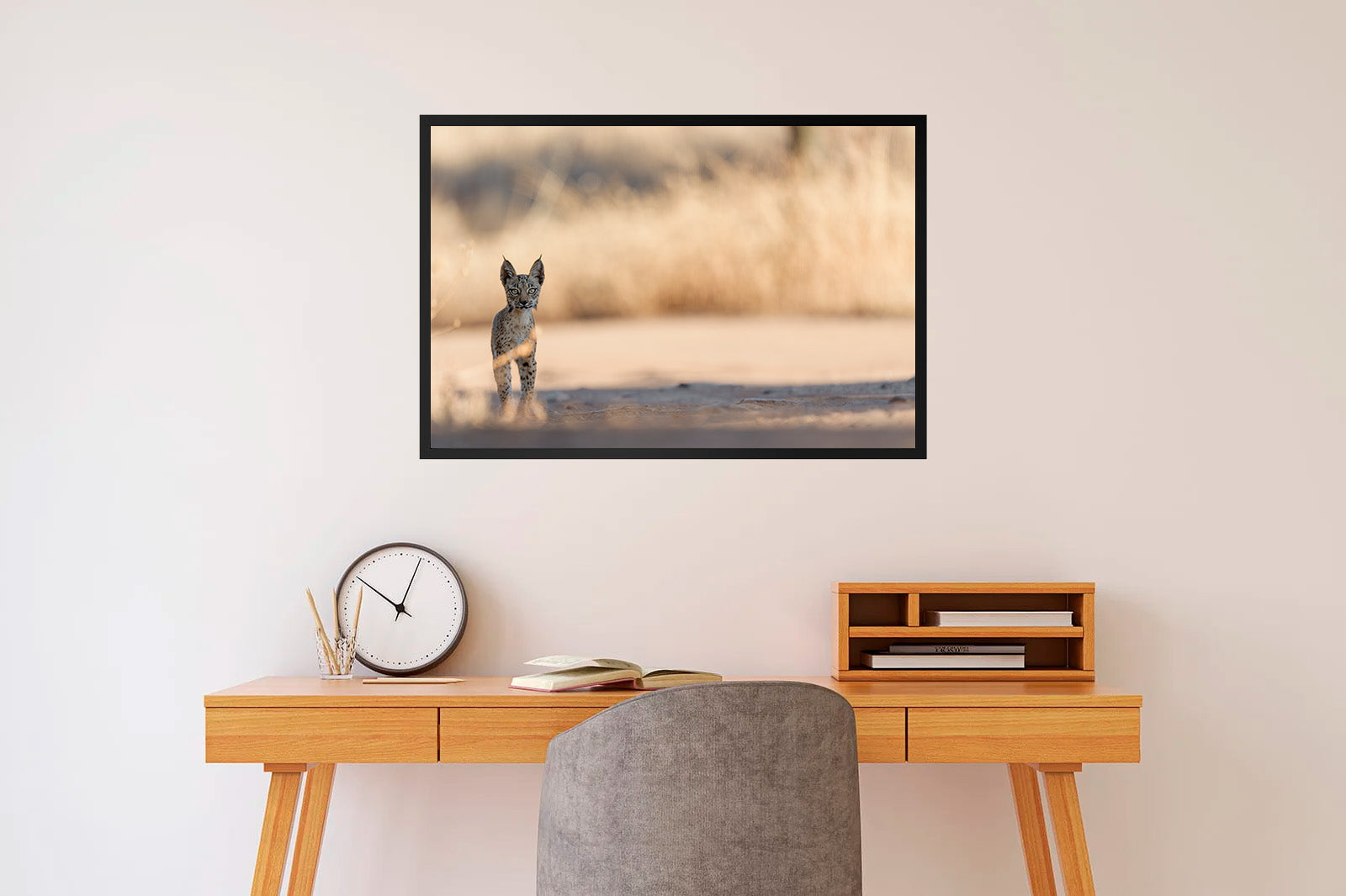 Cachorro en la sombra mirando de frente