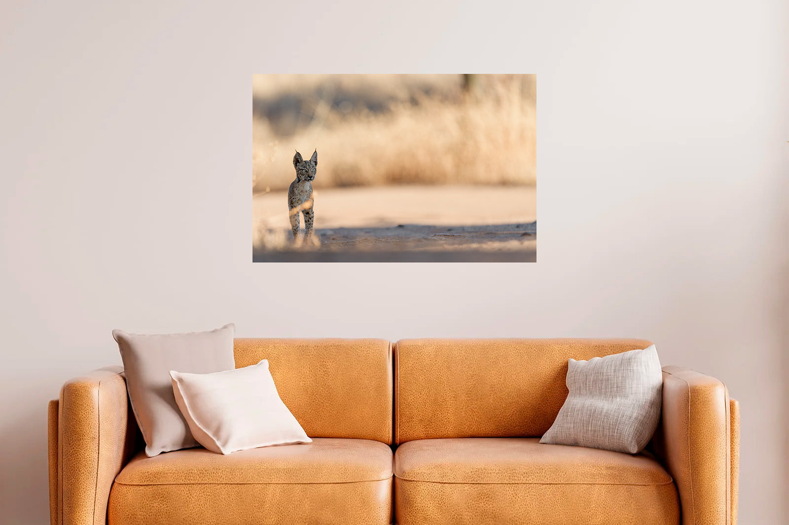 Cachorro en la sombra mirando de lado