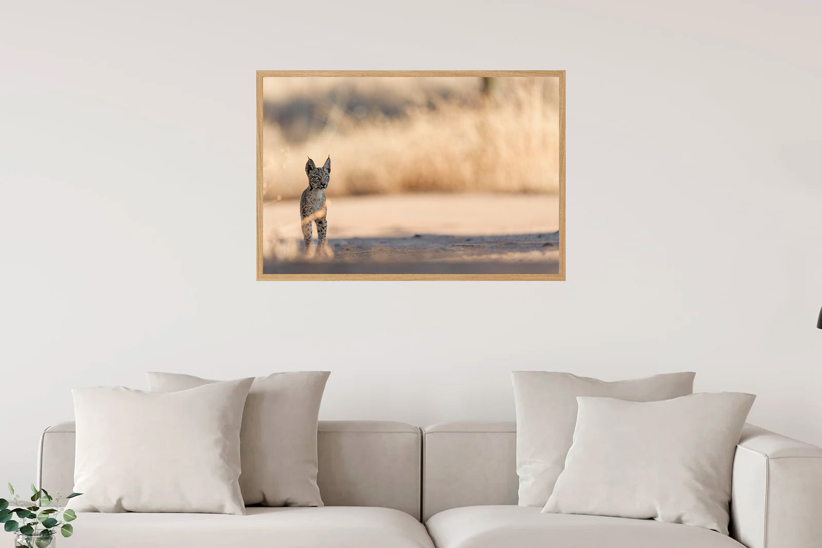 Cachorro en la sombra mirando de lado