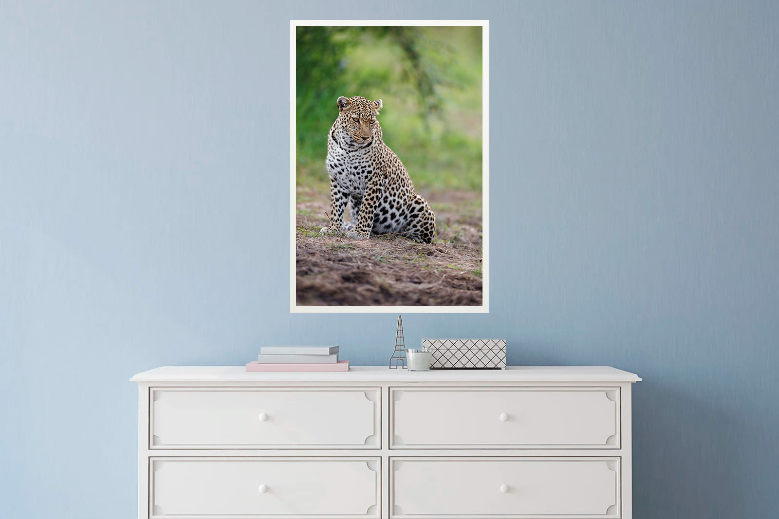 Leopardo en actitud relajada