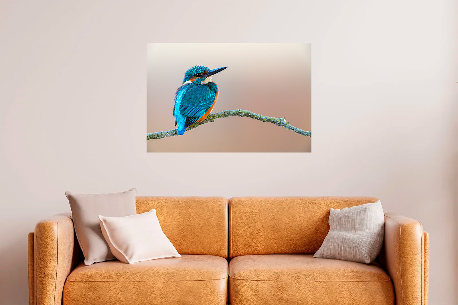 Martín pescador en fondo crema mirando a la derecha