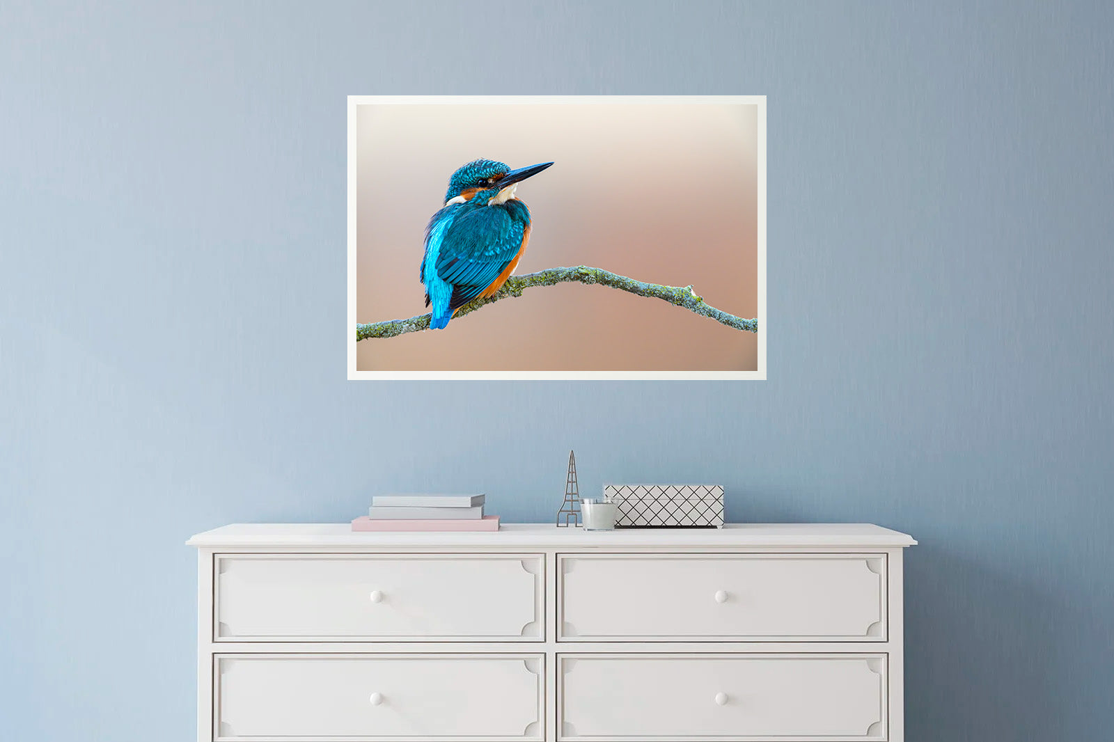 Martín pescador en fondo crema mirando a la derecha